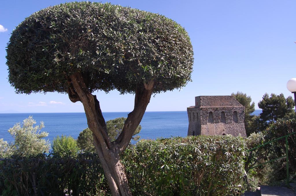Torre Turbolo *